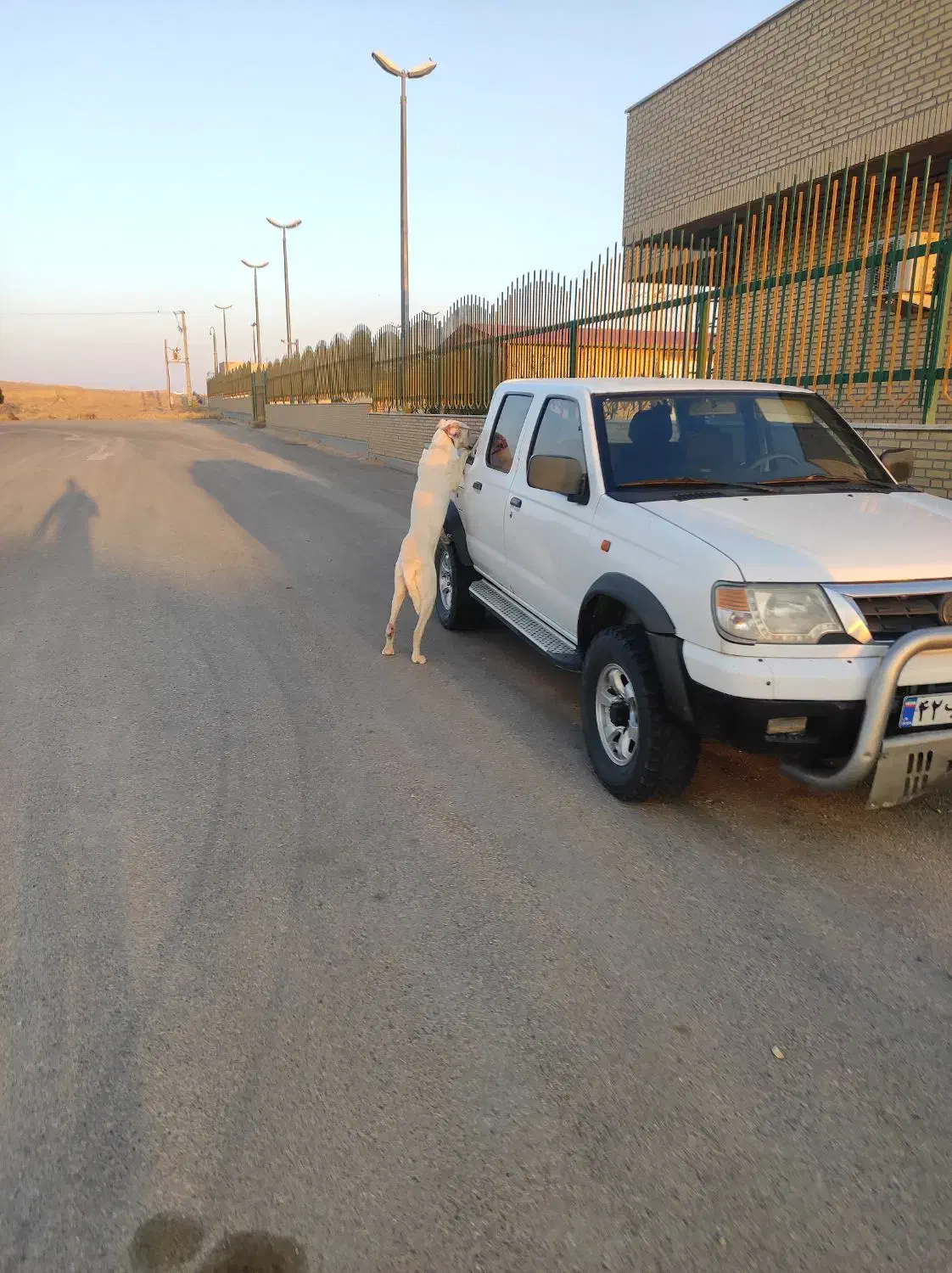 فروش پیکاپ ریچ|خودرو سواری و وانت|مشهد, هدایت|دیوار