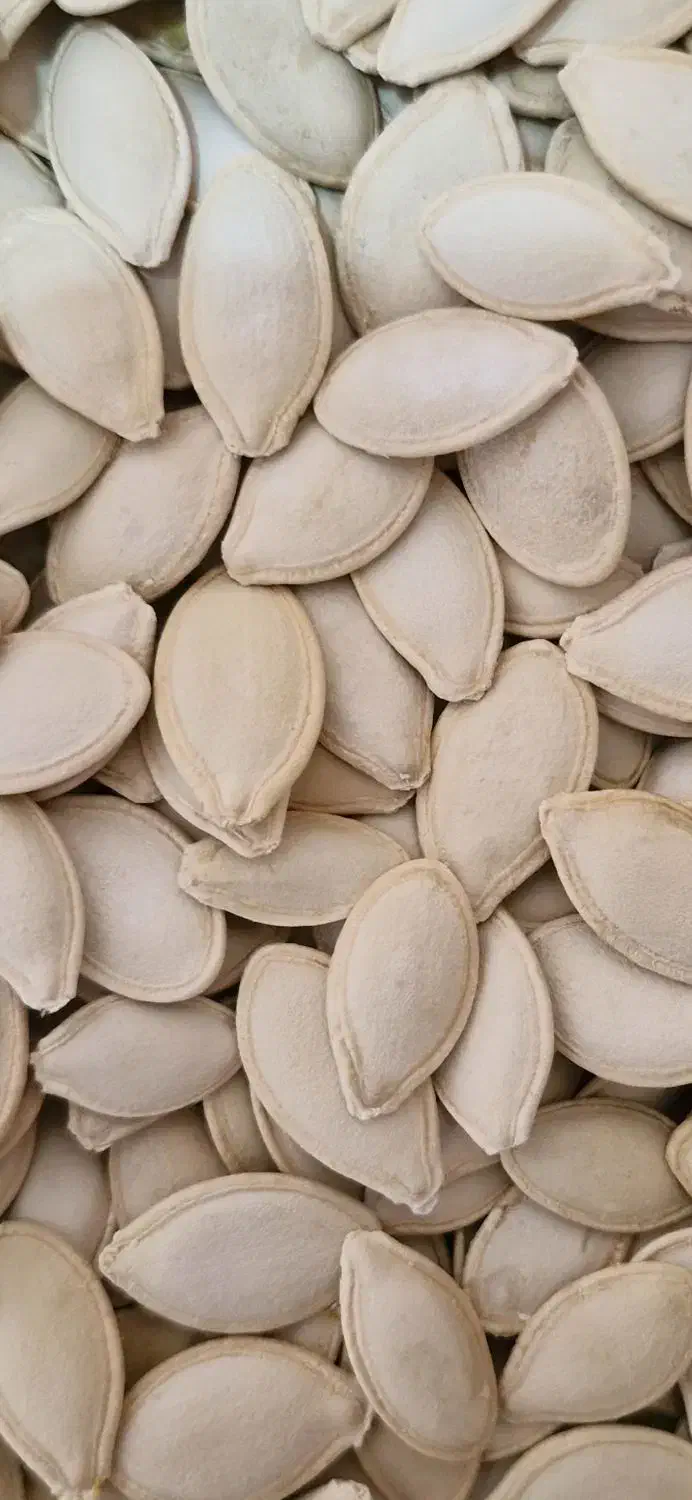 تخمه کدوخام عمده|خوردنی و آشامیدنی|تهران, ترمینال غرب|دیوار