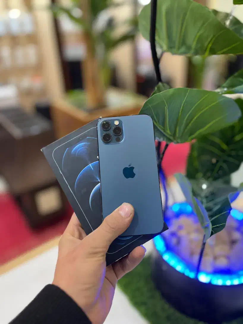 آیفون 12 پرو|موبایل|یزد, |دیوار