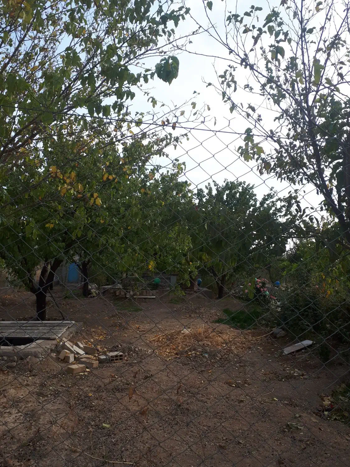 فروش باغچه|فروش دفتر صنعتی، کشاورزی، تجاری|زنجان, |دیوار