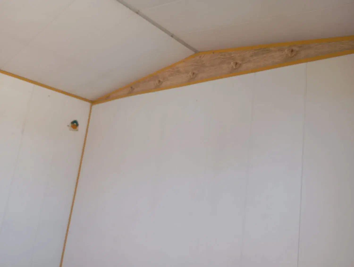 کانکس ده متری چرخدار اصلی|مصالح و تجهیزات ساختمان|هلیلان, |دیوار