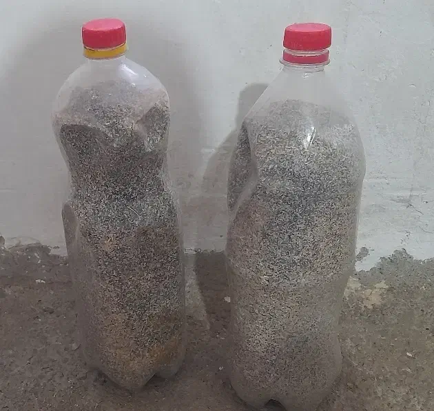 بذر درجه یک|گل و گیاه طبیعی|کوهدشت, |دیوار