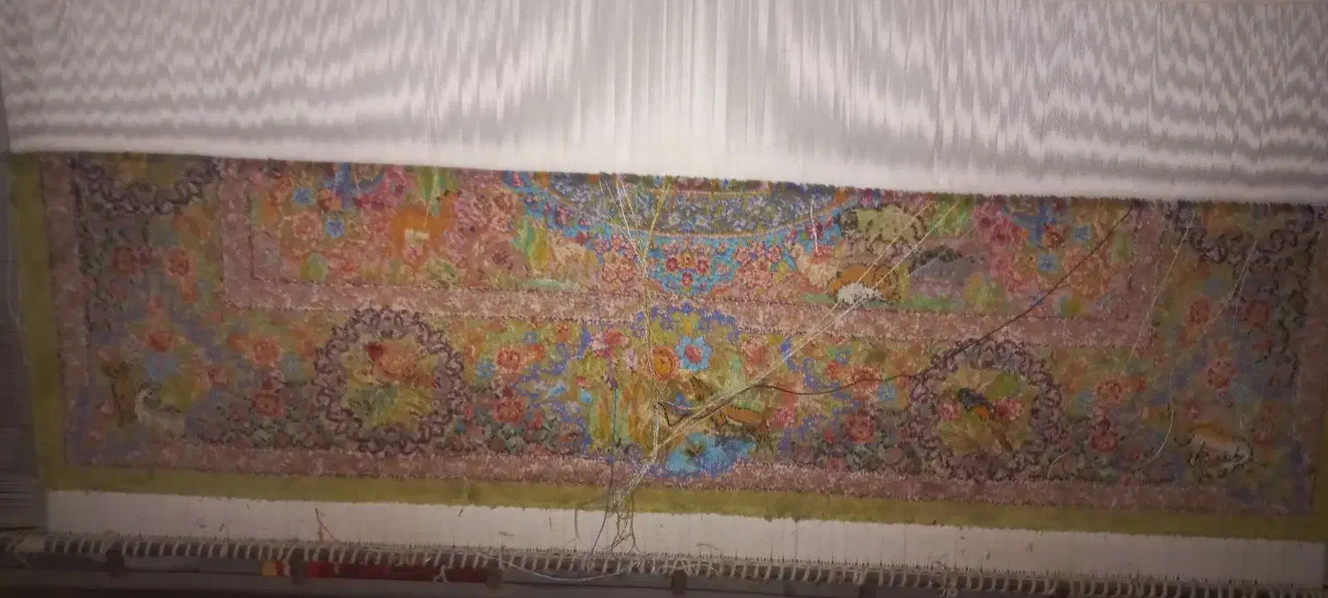 فروش فرش ابریشم|فرش|مراغه, |دیوار