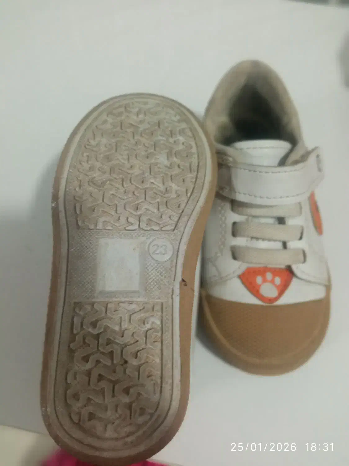 کفش و کیف|کیف، کفش، کمربند|مشهد, میعاد (شهرک غرب)|دیوار