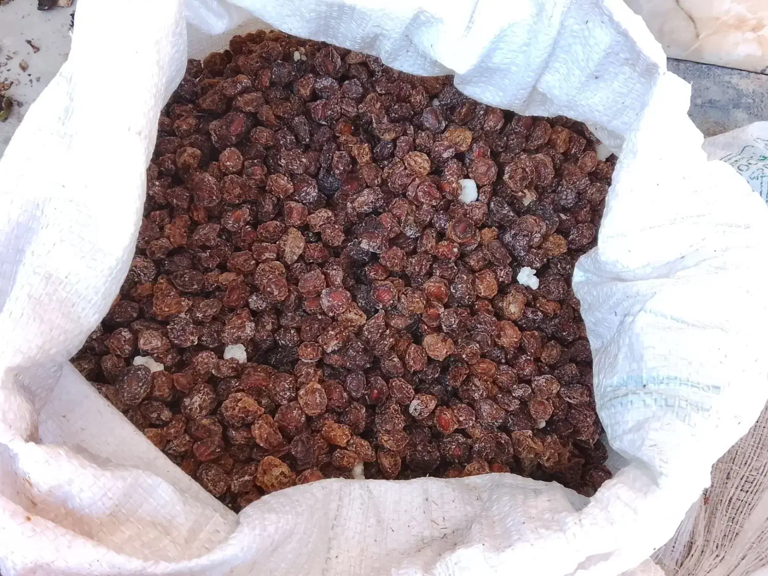 الوچه خشک محلی|خوردنی و آشامیدنی|اندیکا, |دیوار