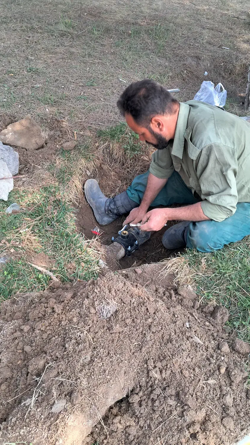 طرح گلکاری وهرسکاری ،علف زنی باغ ،ویلا|خدمات باغبانی و درختکاری|تبریز, |دیوار