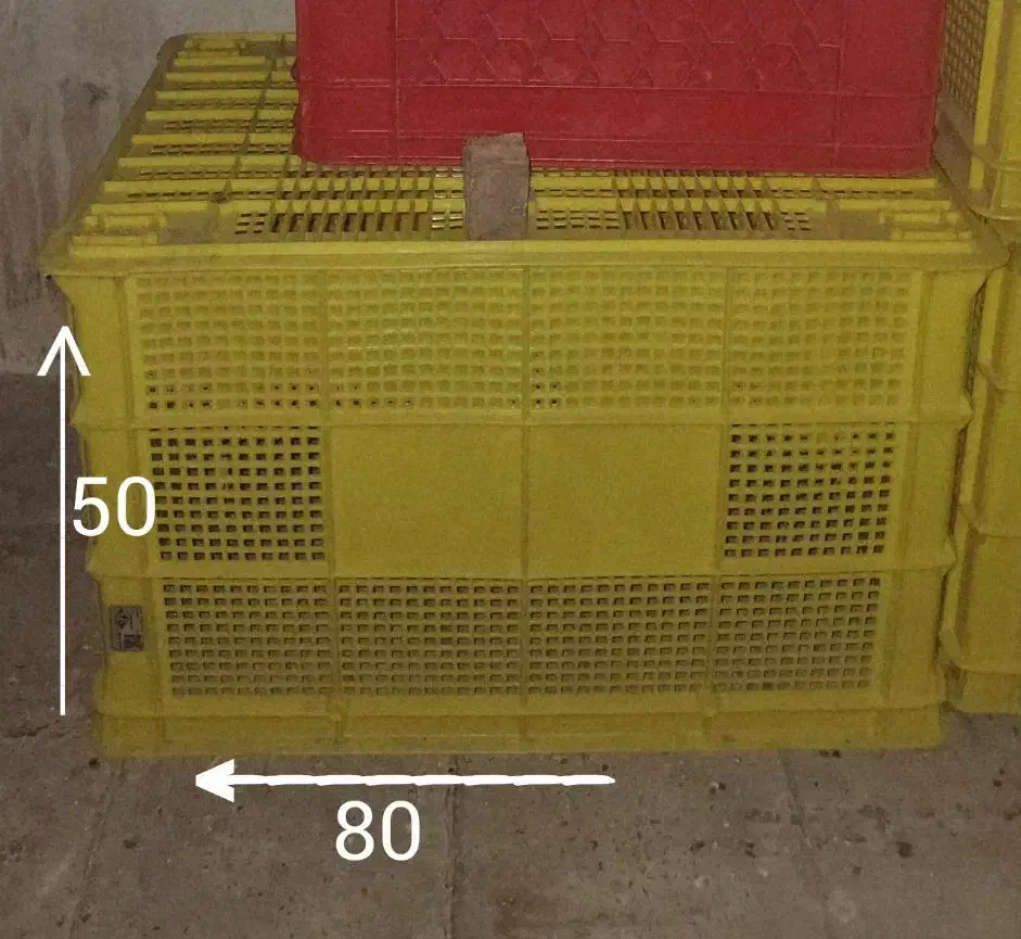 سبد بزرگ پلاستیکی|فروشگاه و مغازه|تهران, جوادیه|دیوار