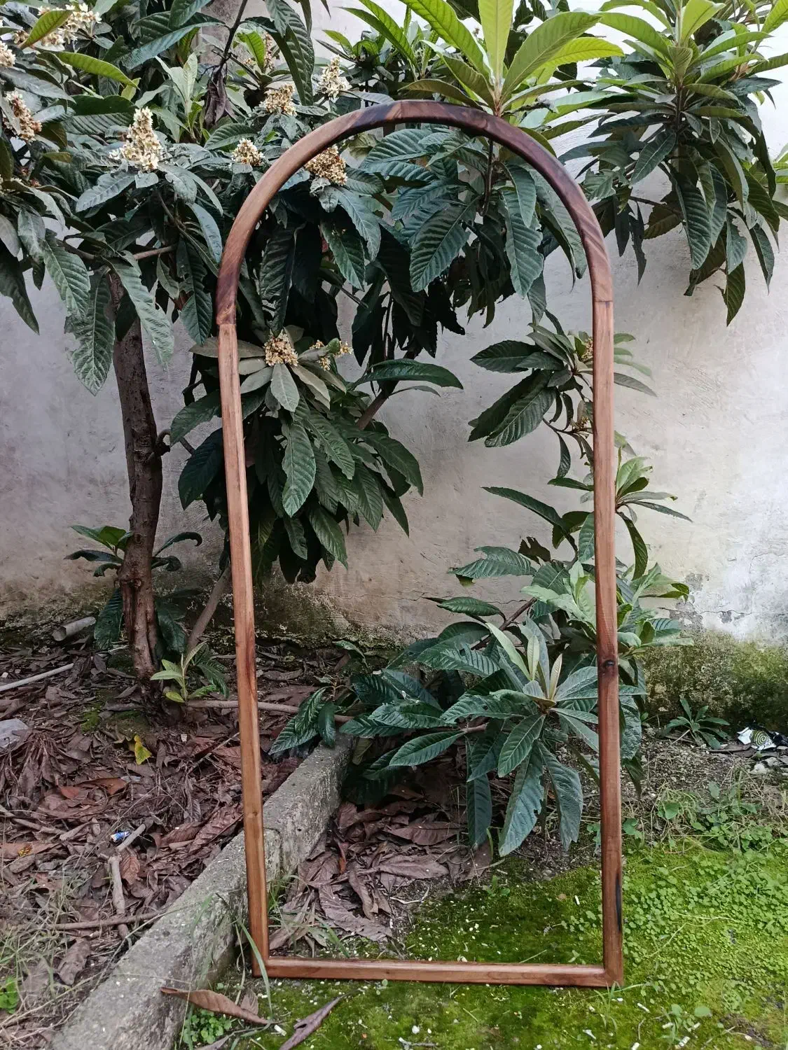 آینه قدی چوبی|آینه|رشت, سعدی (تختی)|دیوار