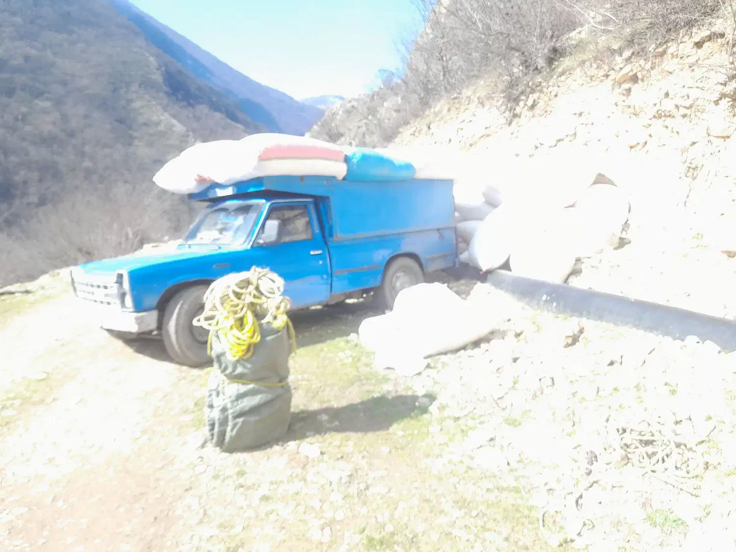 کاه گندم درجه یک|لوازم جانبی حیوانات|رامسر, |دیوار