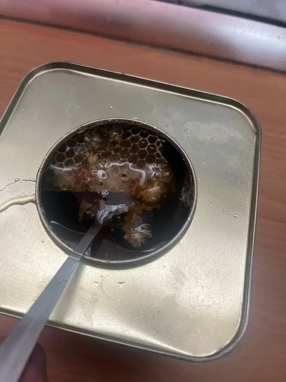 مقداری عسل محلی و اصلی|خوردنی و آشامیدنی|اصفهان, کوی امیریه|دیوار