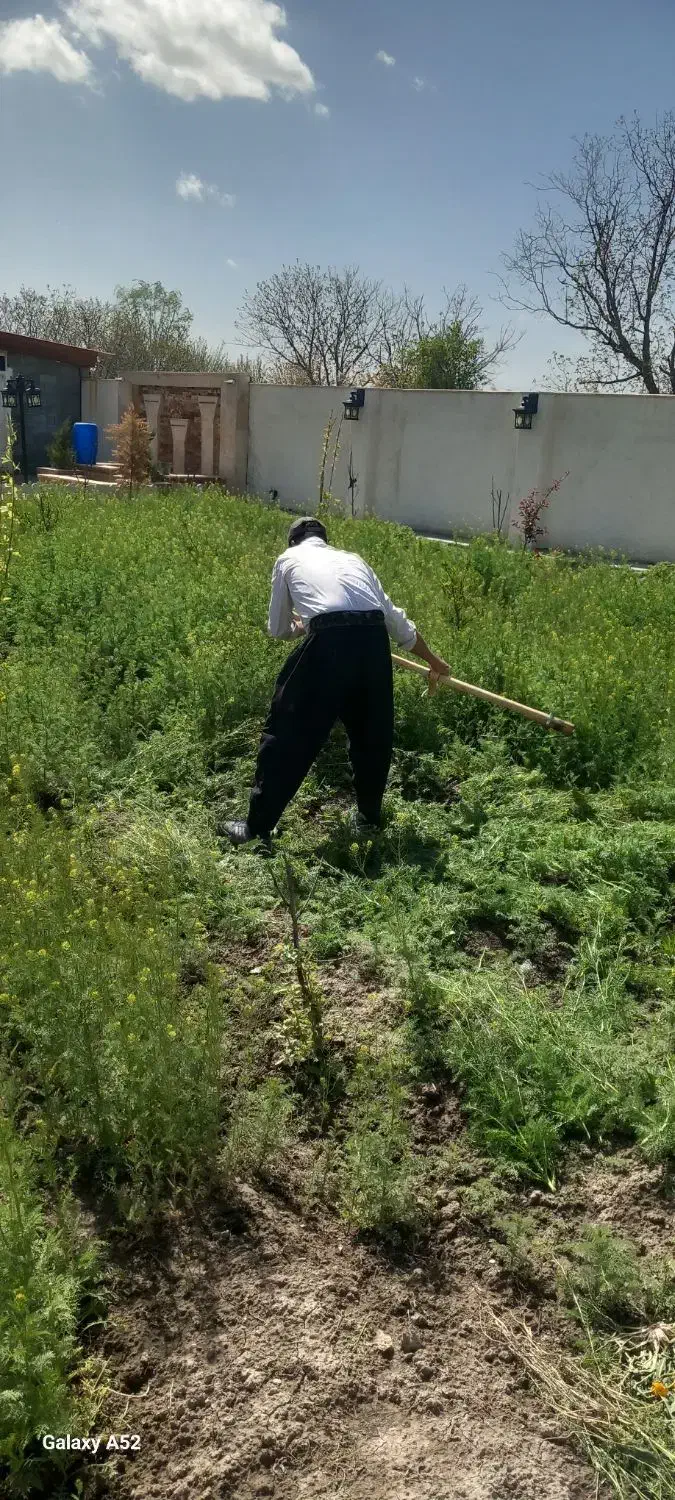 کارگر بیل زنی باغ و باغبانی|خدمات باغبانی و درختکاری|ارومیه, |دیوار