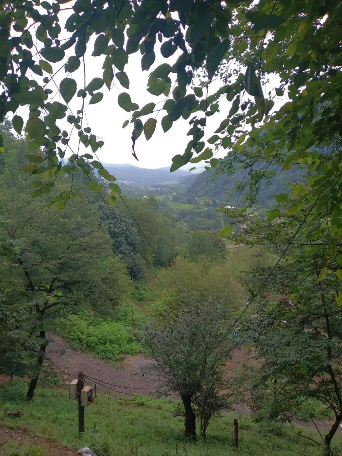 .کلبه ی جنگلی واقع در قلب جنگل های لفور مازندران|فروش خانه و ویلا|آلاشت, |دیوار