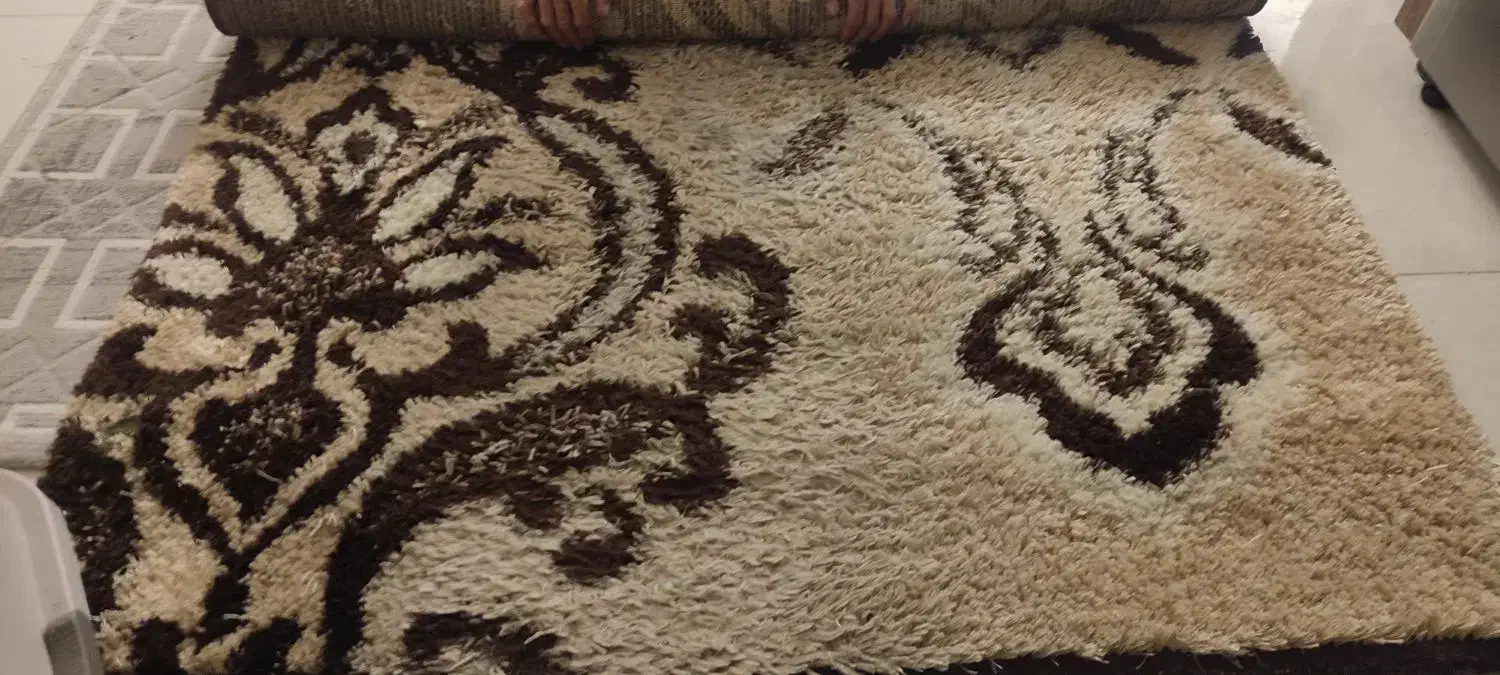 فرش شگی|فرش|سمنان, |دیوار