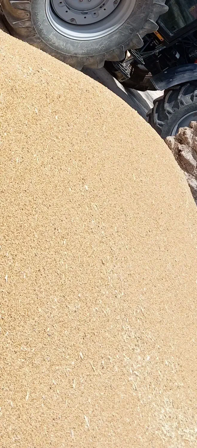 گندم چمران ۲|خدمات باغبانی و درختکاری|چمران, |دیوار