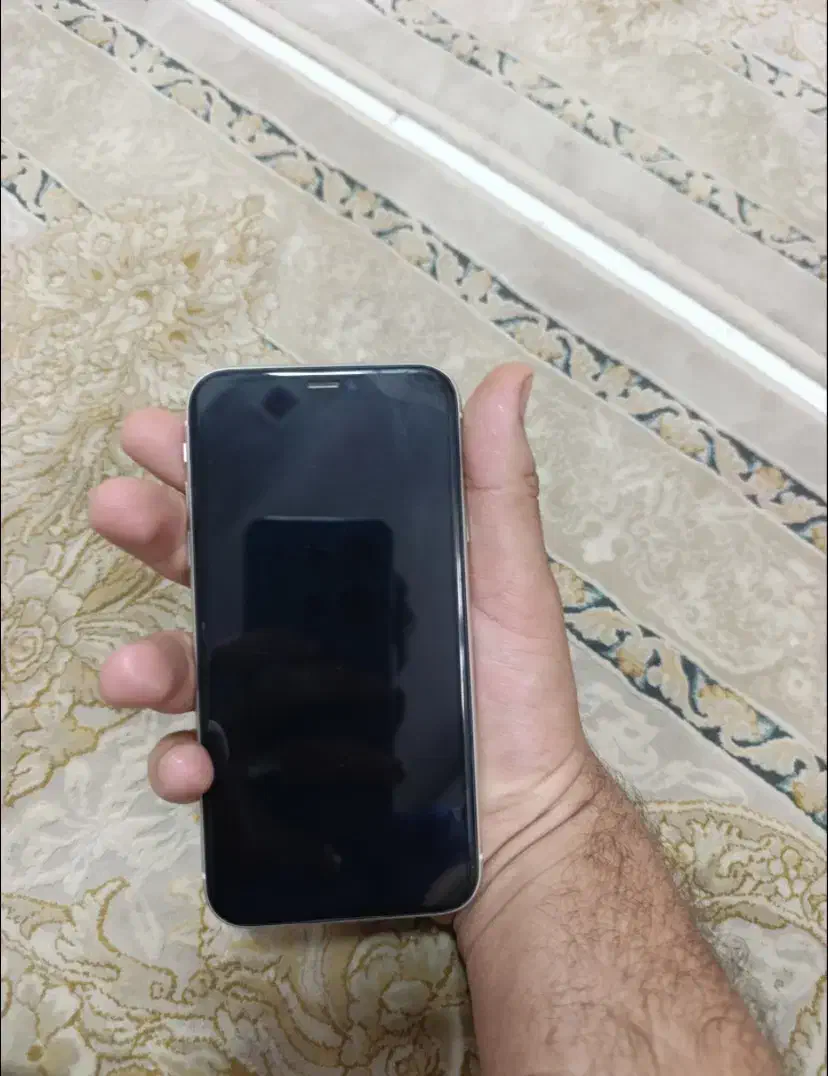 ایفون 11 نرمال دوسیم|موبایل|مشهد, شهرک بهارستان|دیوار