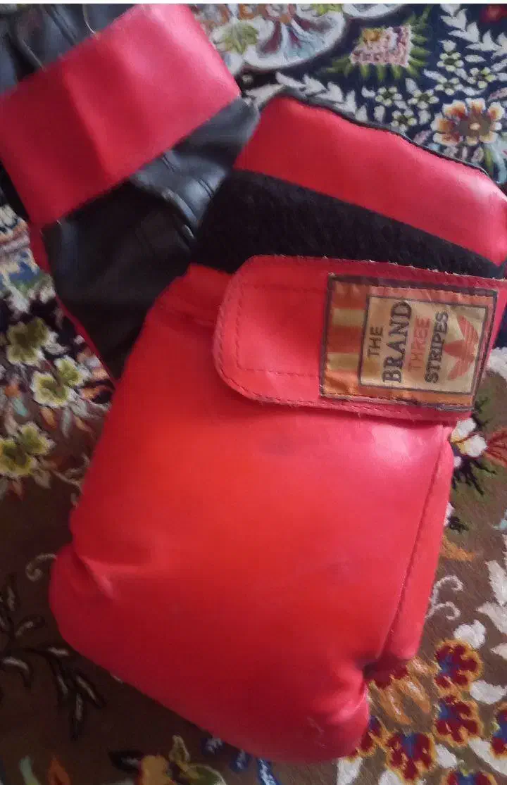 دستکش بوکس|تجهیزات ورزشی|قرچک, مهدیه|دیوار