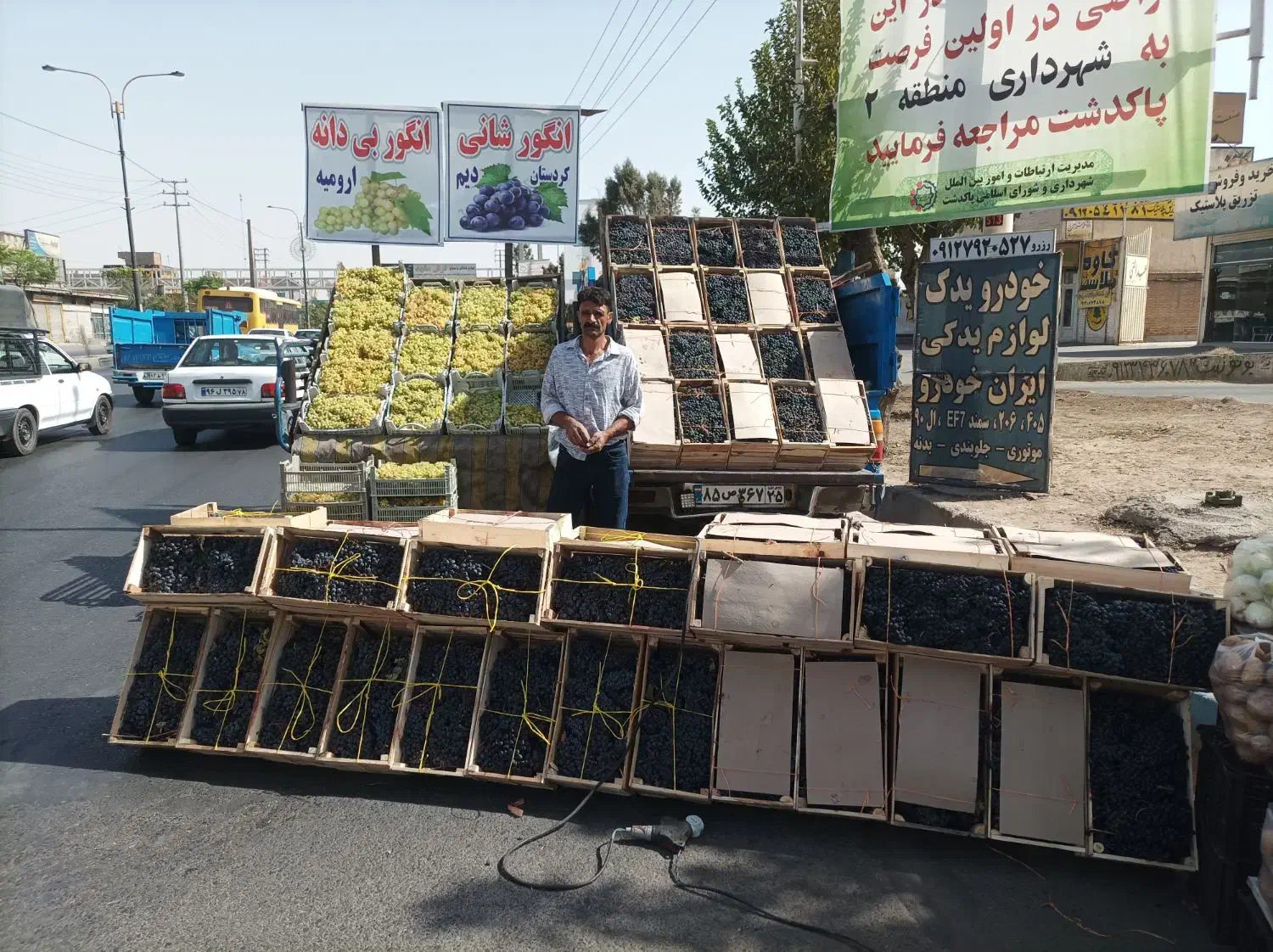 انگور شانی سردشت کیفیت بالا|خوردنی و آشامیدنی|پاکدشت, خاتون آباد|دیوار
