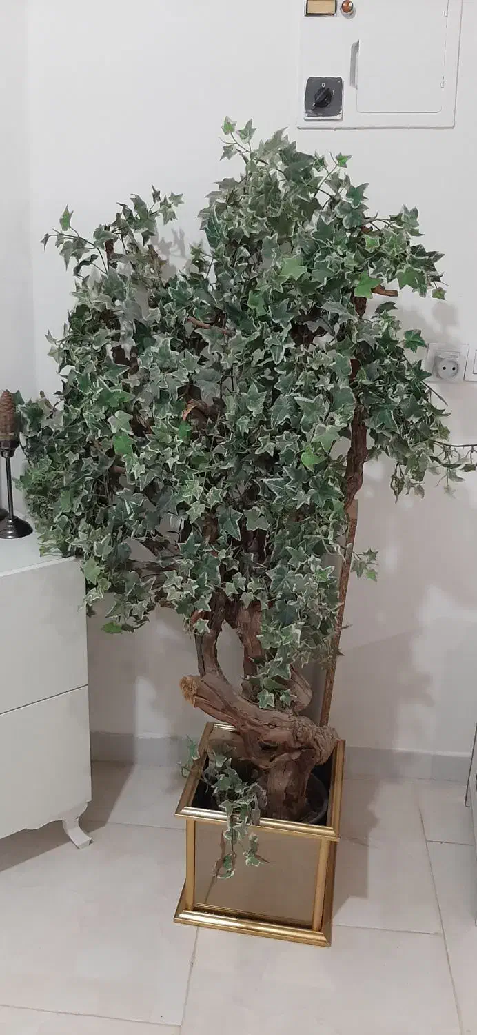 درختچه|گل مصنوعی|تهران, قصر فیروزه ۲|دیوار