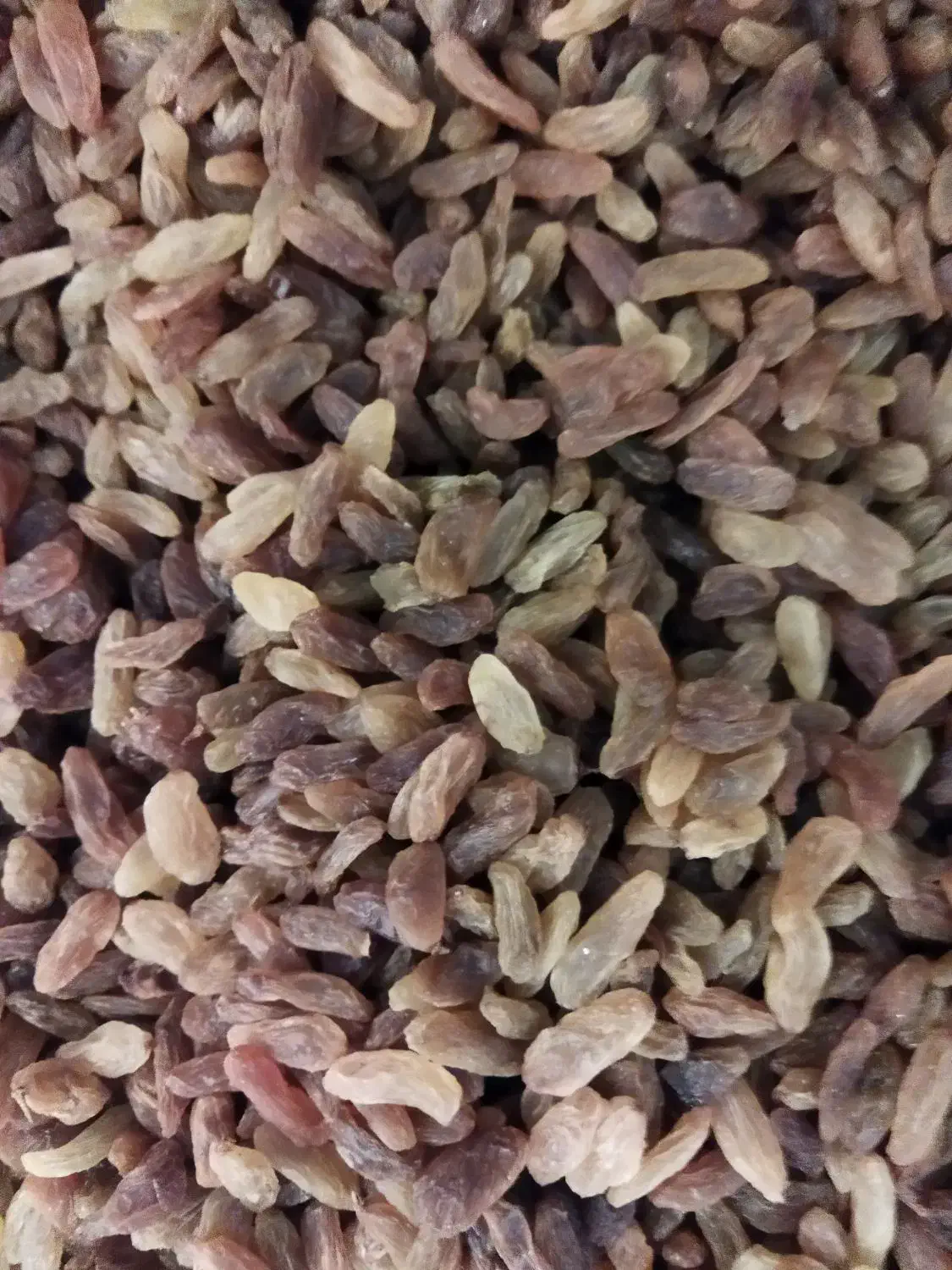کشمش|خوردنی و آشامیدنی|عسلویه, |دیوار