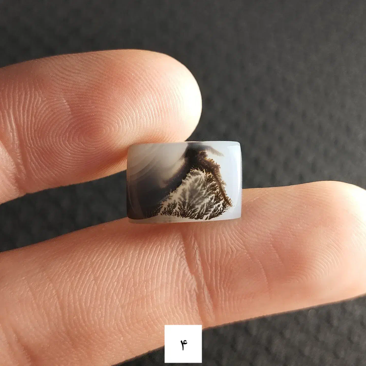 نگین شجر قائن|جواهرات|شاهین دژ, |دیوار