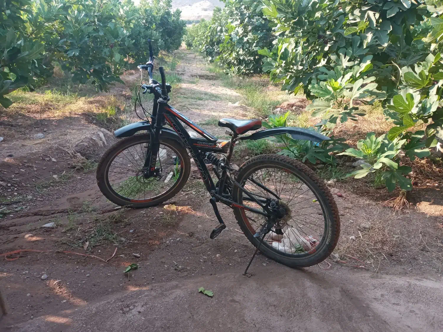 دوچرخه۲۶|دوچرخه، اسکیت، اسکوتر|پلدختر, |دیوار