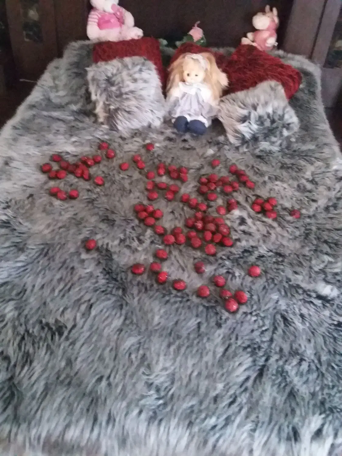 رو تختی فانتزی|سرویس روتختی|رویان, |دیوار