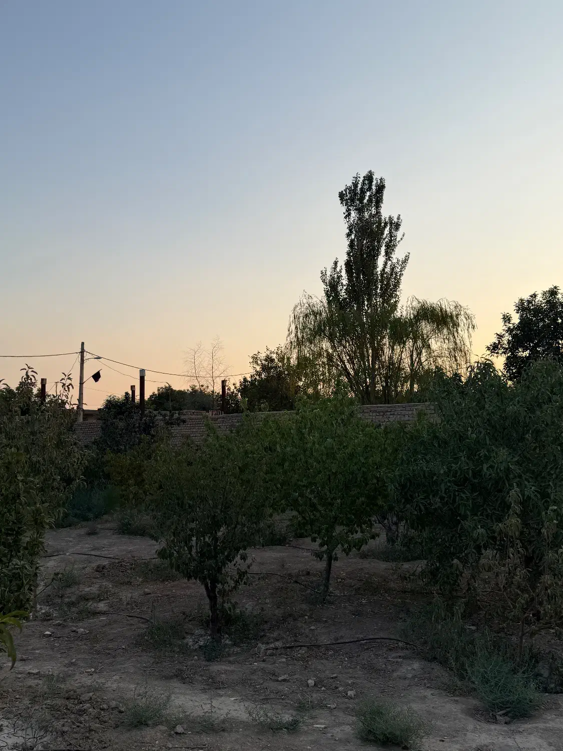 450 متر باغچه /آب،برق،گاز کنتور/دارای جواز ساخت|فروش زمین و ملک کلنگی|هشتگرد, هشتگرد قدیم|دیوار