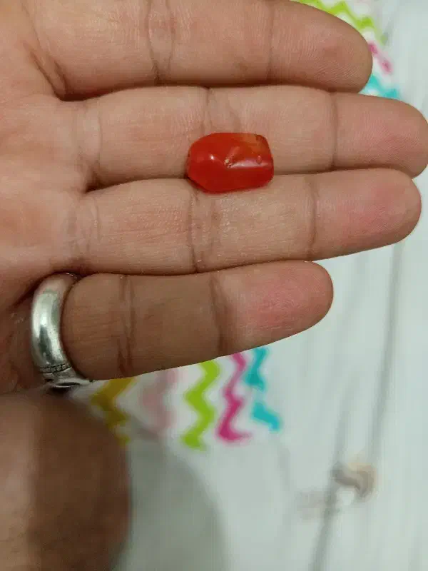 یاقوت سرخ|جواهرات|پرند, فاز ۶|دیوار