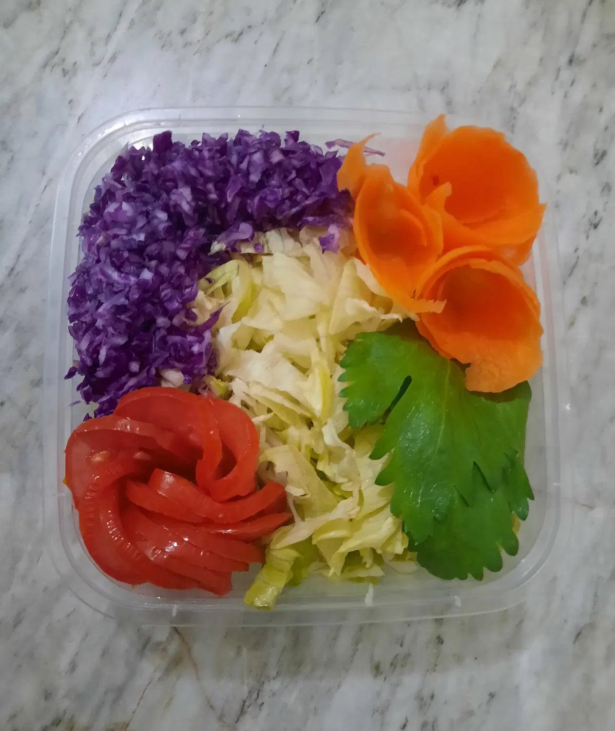 فروش انواع سالاد اقتصادی|خوردنی و آشامیدنی|تهران, تولید دارو|دیوار