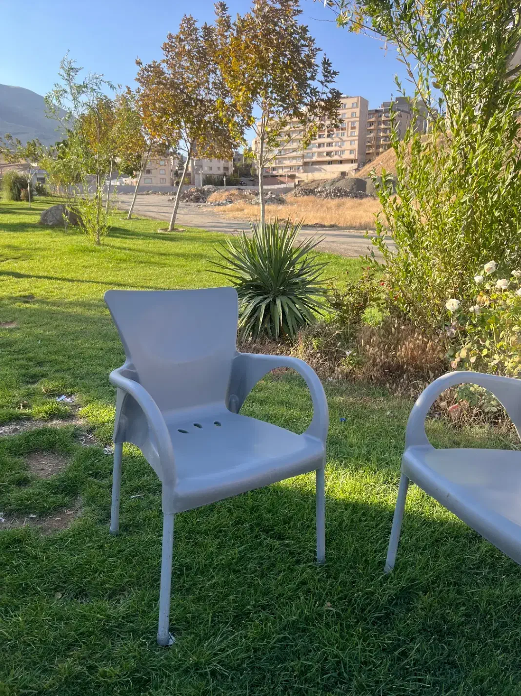 صندلی مطبی نو نو|دفتر کار|سنندج, |دیوار