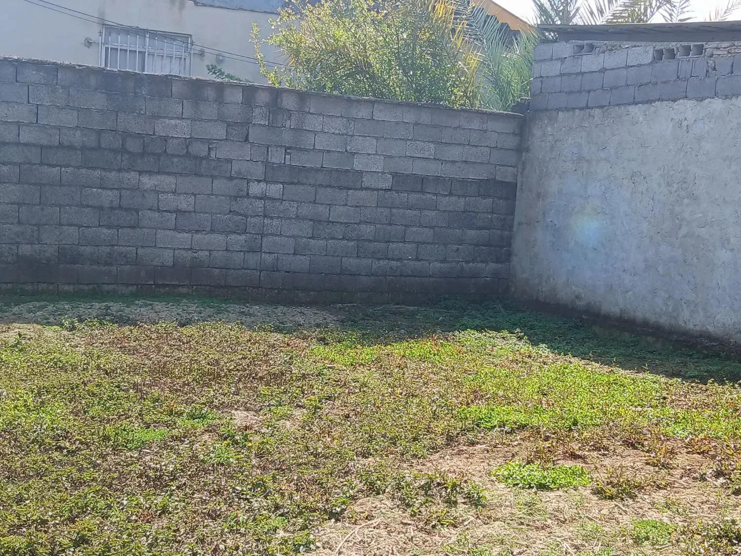 زمین فروشی در رشت|فروش زمین و ملک کلنگی|رشت, احمد گوراب|دیوار