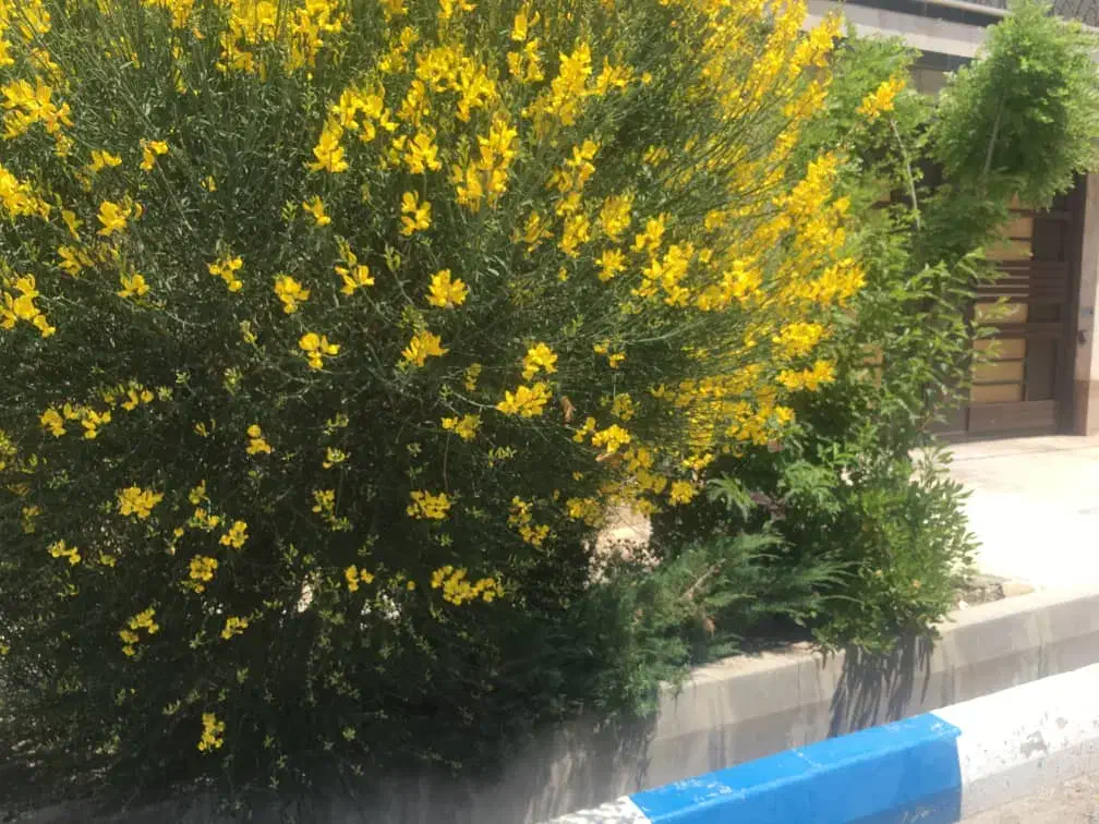 فروش یک واحد ویلایی اکازیون در ۲ طبقه فاز ۱|فروش خانه و ویلا|پردیس, فاز ۱|دیوار