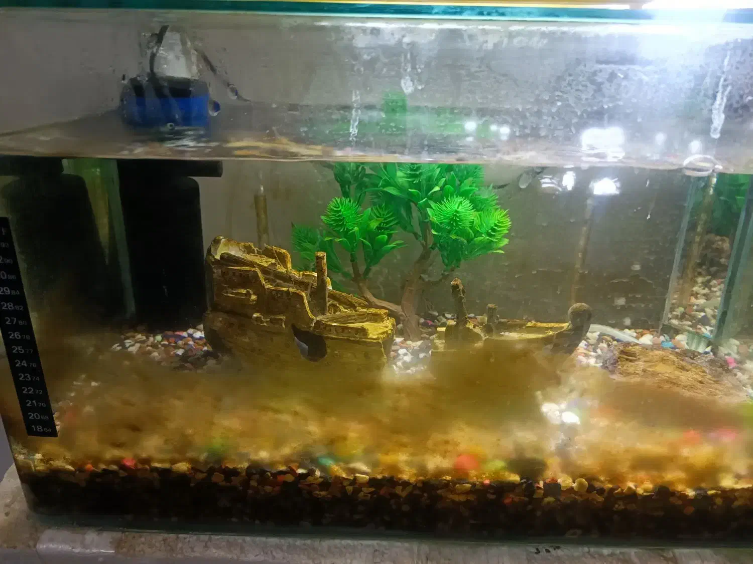 آکواریوم شیشه خم با تمام تجهیزات|ماهی|کاشان, سلطان امیر احمد|دیوار