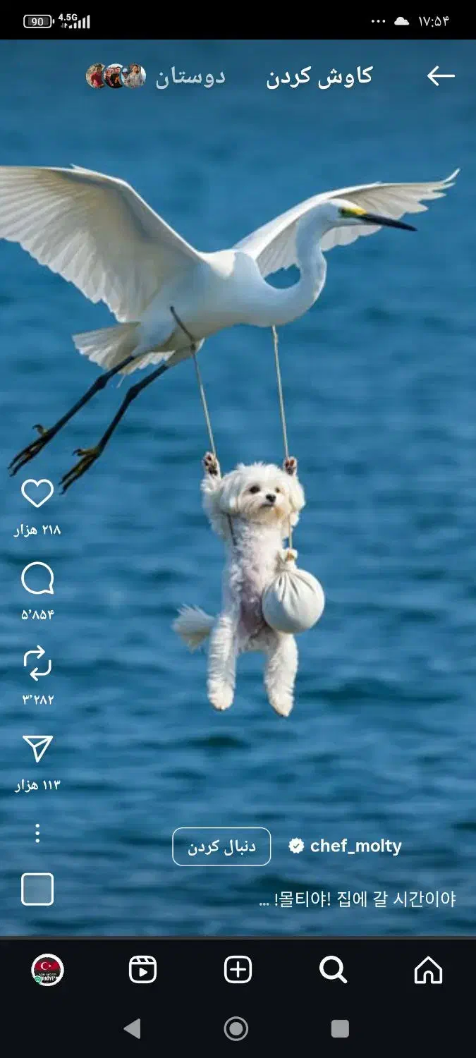 گمشده|اشیا|تهران, جیحون|دیوار