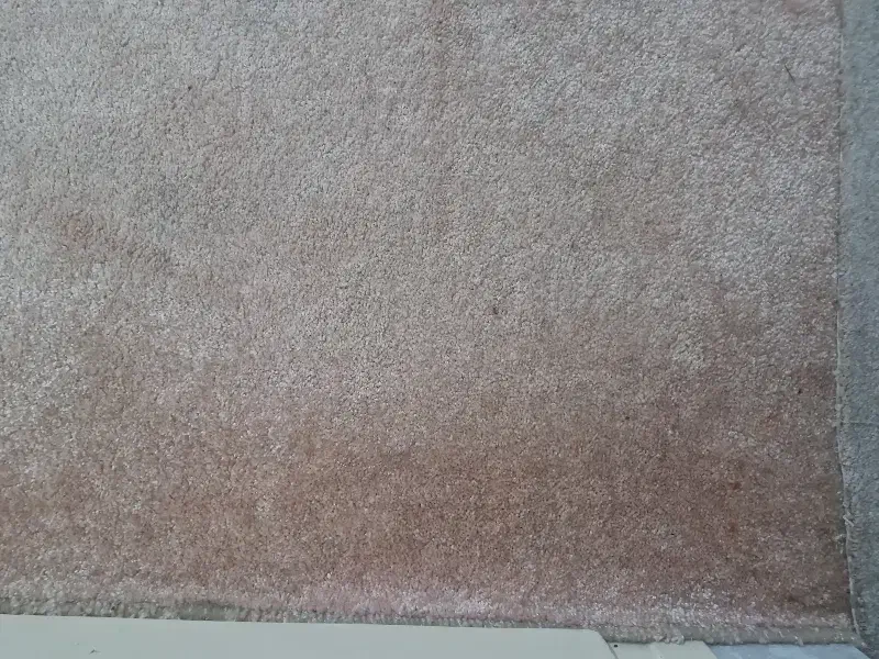 پالاز موکت ۳×۴|موکت|تبریز, |دیوار