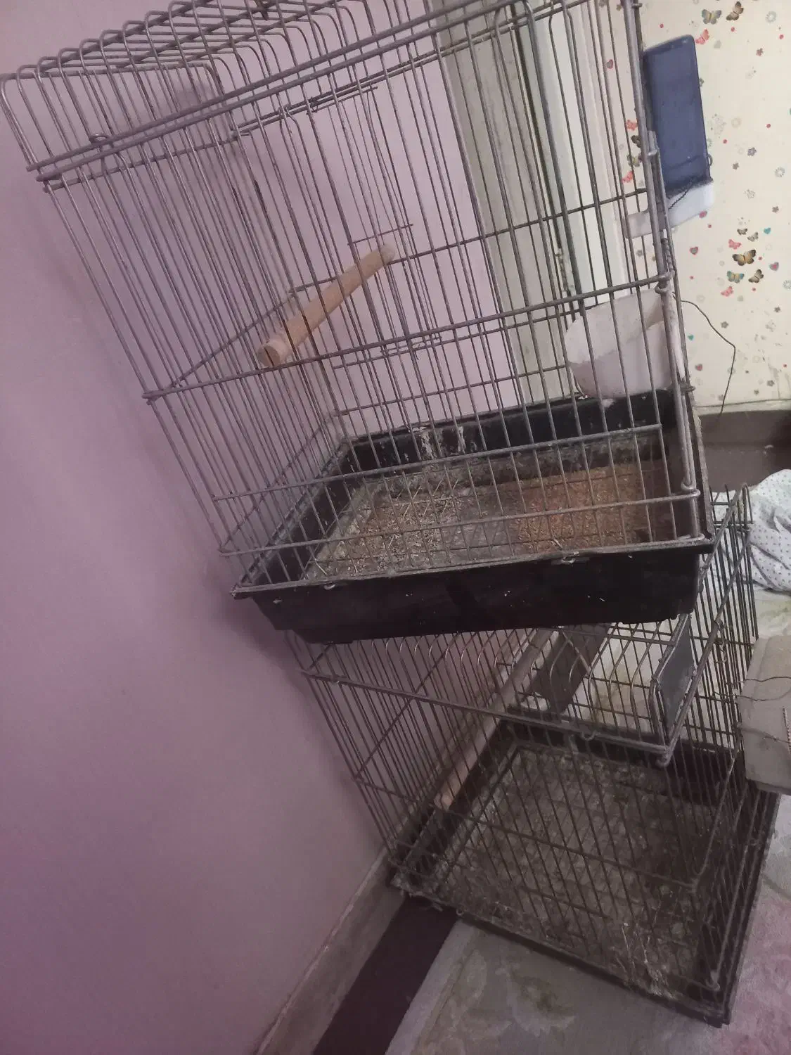 قفس کاسکویی اورال|لوازم جانبی حیوانات|تهران, جوادیه|دیوار