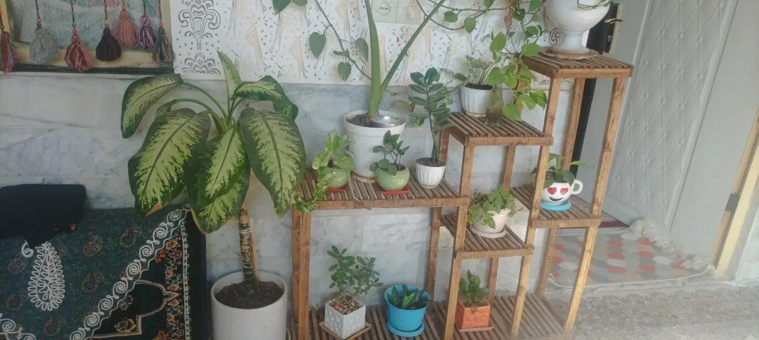 دو عدد استند گل فروشی|گل و گیاه طبیعی|بیرجند, |دیوار