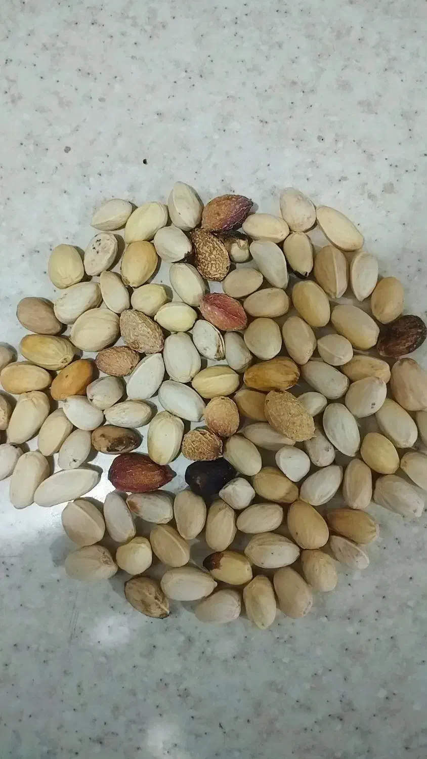 پوک|خوردنی و آشامیدنی|فردوس (کرمان), |دیوار