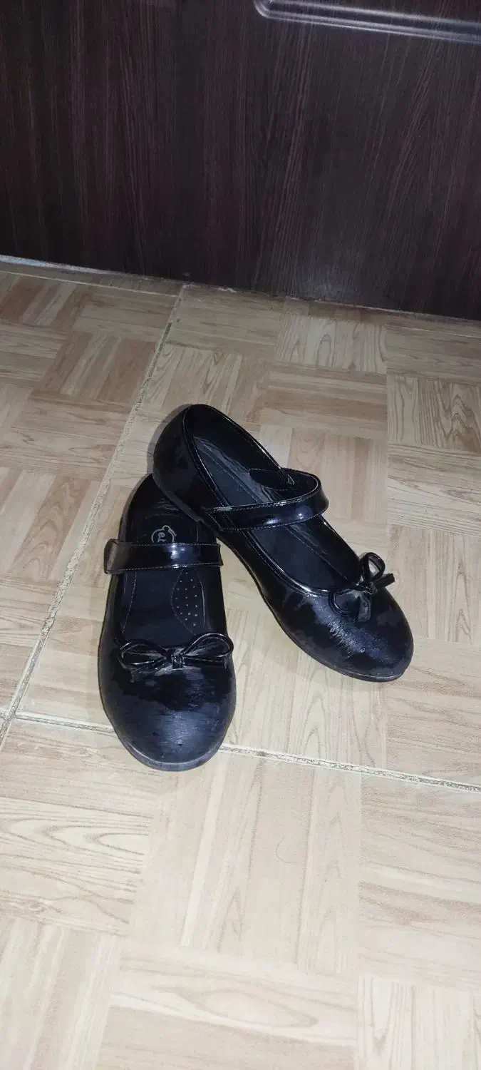 کفش|کیف، کفش، کمربند|بجنورد, |دیوار