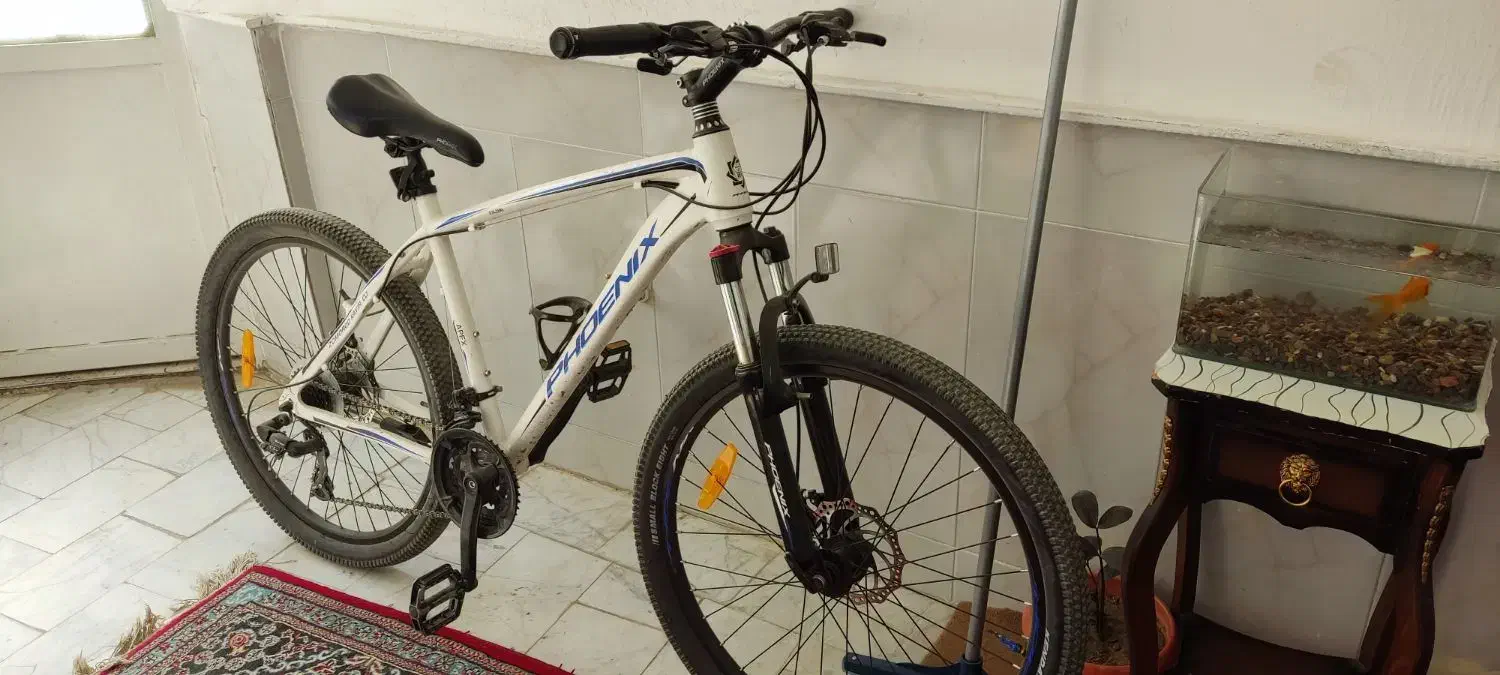 دوچرخه فروشی|دوچرخه، اسکیت، اسکوتر|نیشابور, گنبد سبز|دیوار