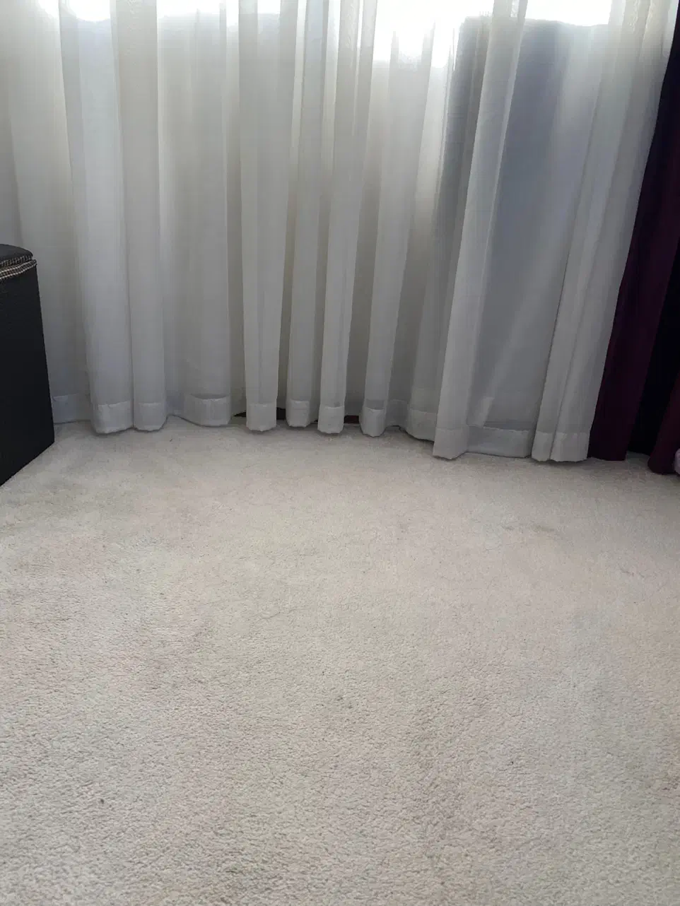 پالاز موکت درحدنو|موکت|ورامین, ورامین|دیوار