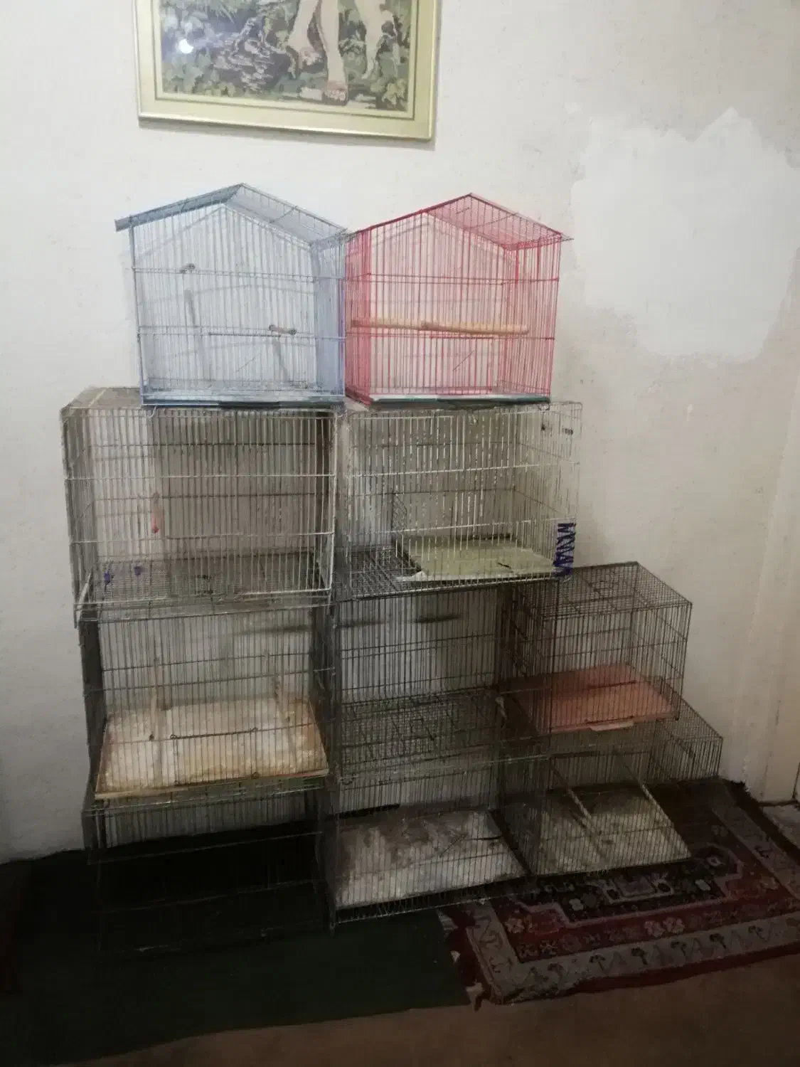 قفس پرنده|لوازم جانبی حیوانات|تهران, شارق|دیوار
