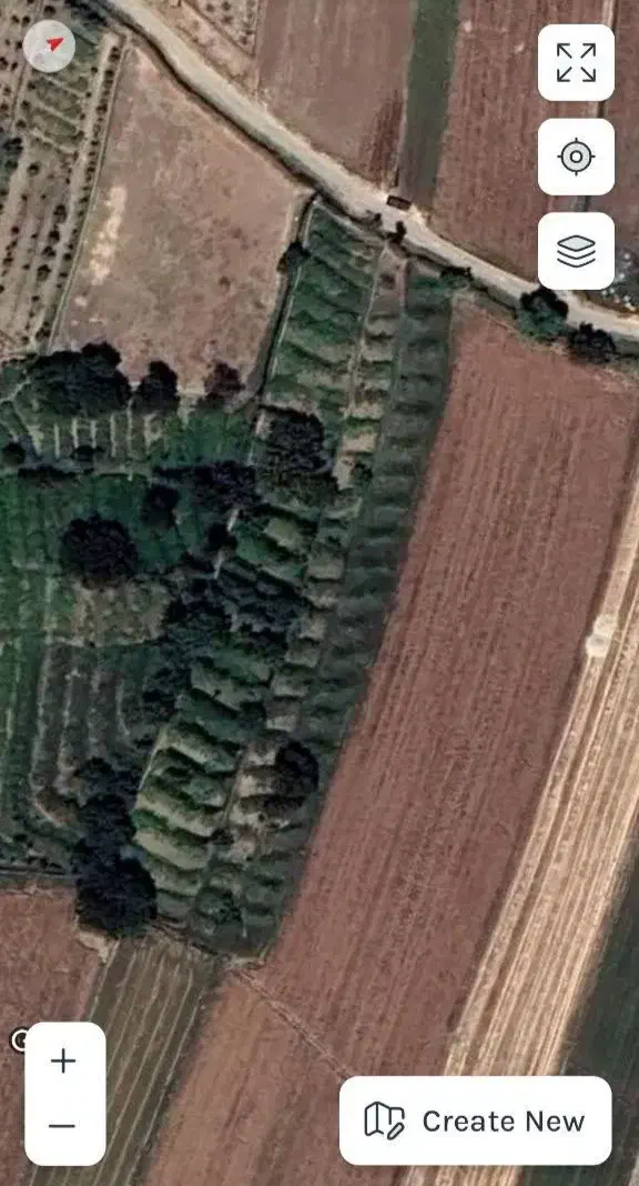 باغ انگور|فروش زمین و ملک کلنگی|شازند, |دیوار