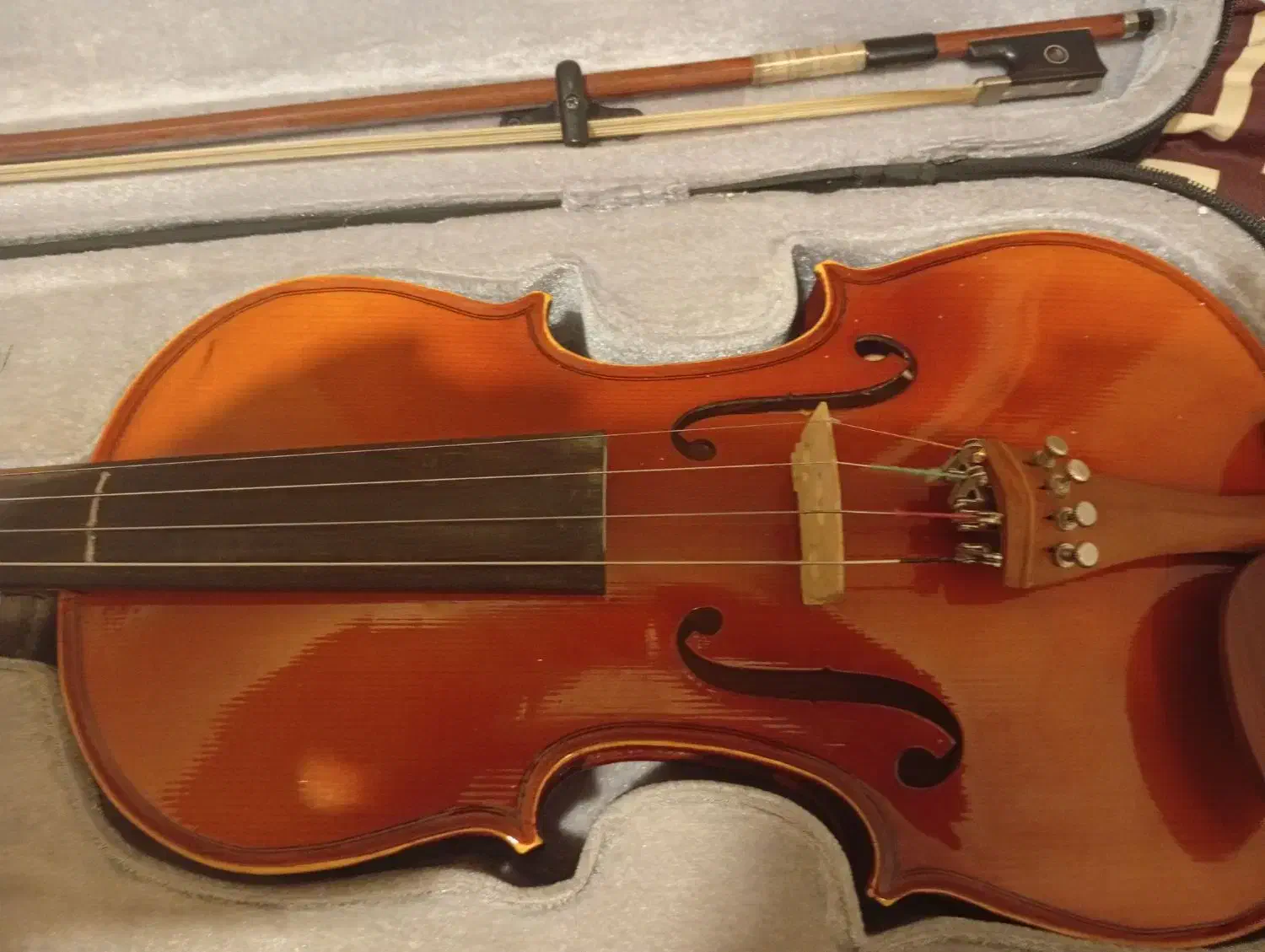 ویولن|ویولن|سنندج, |دیوار