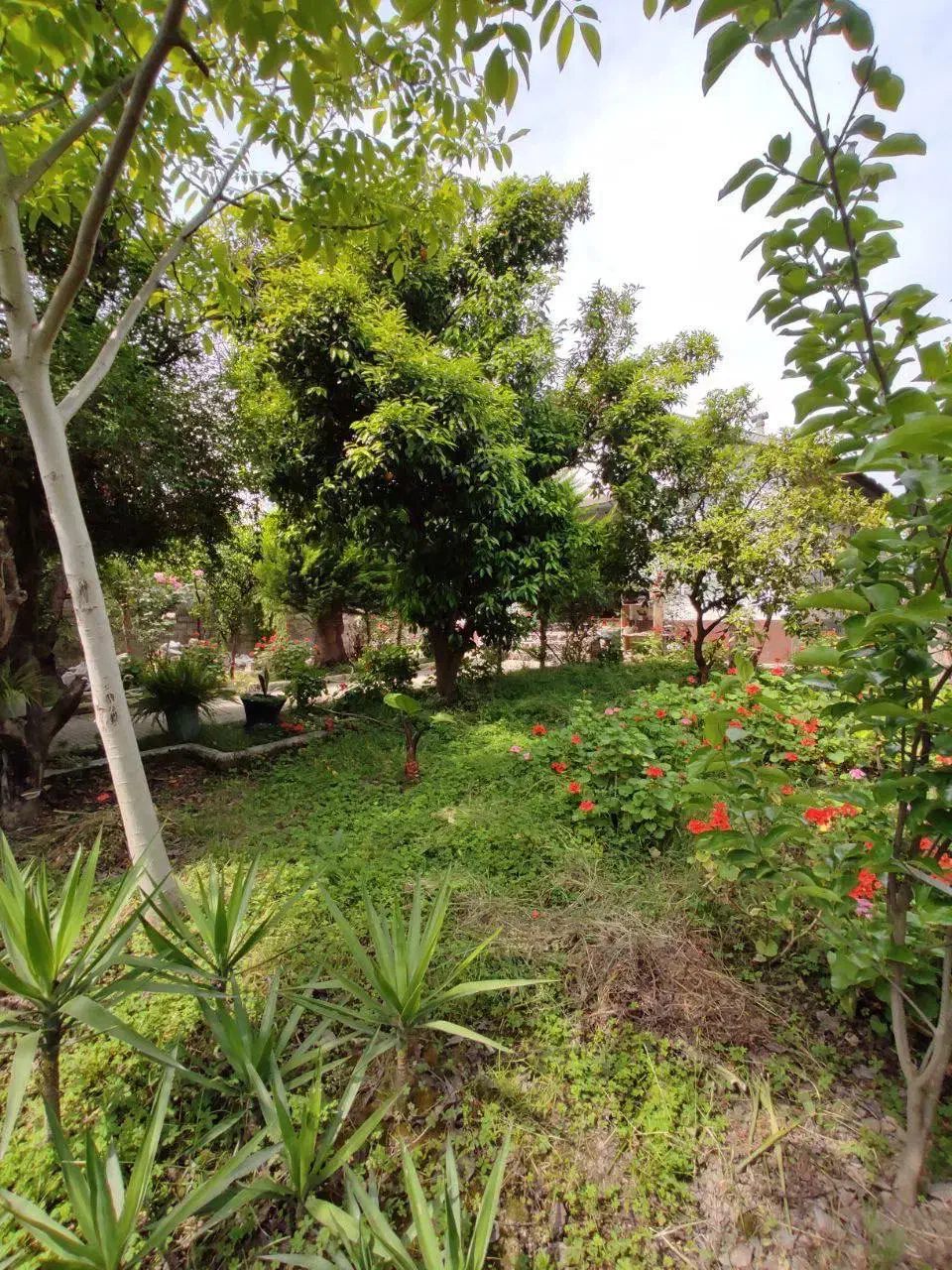 ویلاباغ عروسک*بلویج*سندتکبرگ*مستقل*قیمتکل|فروش خانه و ویلا|چمستان, |دیوار