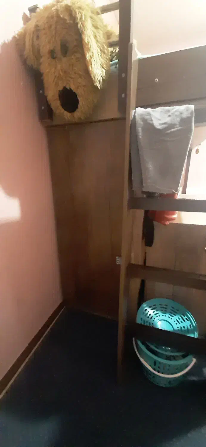 تخت ۲طبقه|تخت و صندلی بچه|هشتگرد, شهرک ایران خودرو|دیوار