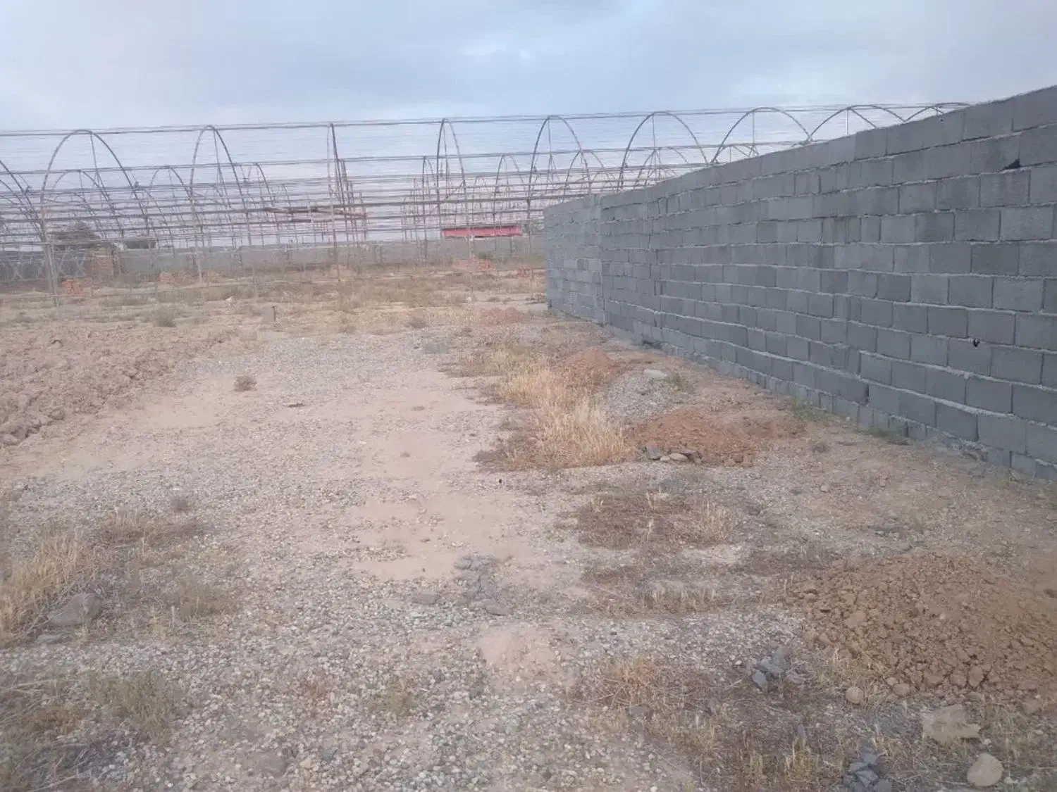 ۹هزار متر چهار دیواری زمین و باغچه و گلخونه|فروش زمین و ملک کلنگی|پاکدشت, پاکدشت (مامازند)|دیوار