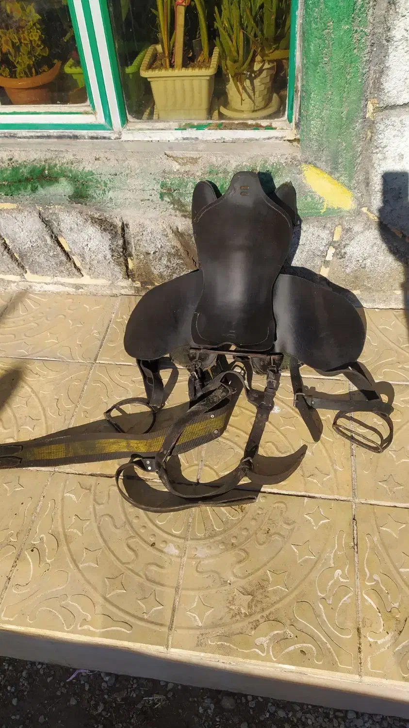 زین‌اسب|اسب و تجهیزات اسب‌سواری|اردبیل, |دیوار