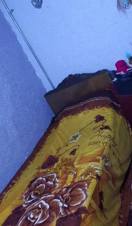 فرش ۱۲ متری و تخت تک نفره|فرش|اردبیل, |دیوار