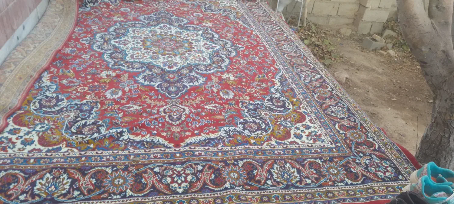 فرش|فرش|گلبهار, نوبهار|دیوار